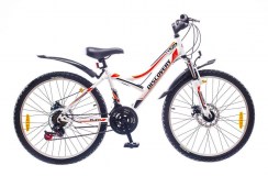 24 Discovery FLINT DD 2016