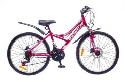 24 Discovery FLINT DD 2016