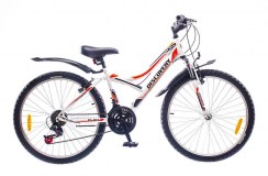 24 Discovery FLINT AM 2016