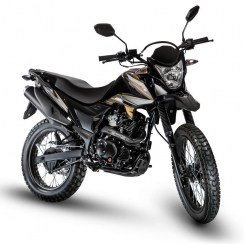 Купите шоссейный велосипед Loncin LX200GY-3 Pruss по бесконкурентной цене! Наслаждайтесь плавной и комфортной ездой на этом высококлассном мотоцикле.