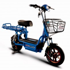 SkyBike LARGO электро велосипед купить с доставкой