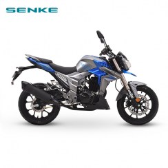 Купить мотоцикл Sanke Shark SK300 с доставкой по Украине. Наслаждайтесь удобством мощного двигателя Yamaha и удобной эргономикой этого быстрого и надежного велосипеда.