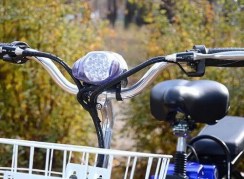 Электровелосипед SkyBike  Joy