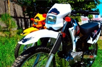 SkyBike LIGER цена в Одессе