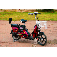 Электровелосипед SkyBike LEF -3 ( 350W-48V)
